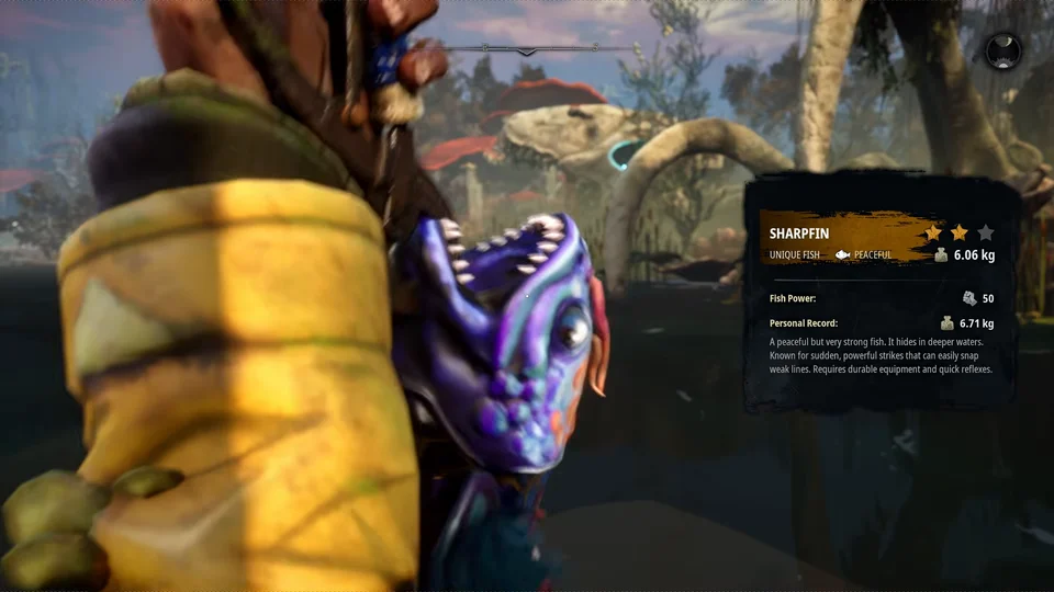 Character screen and inventory interface elements