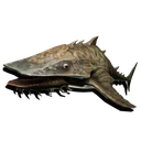 Shovelnose