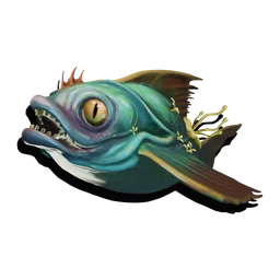 Snapper