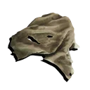 Cloth