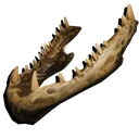 Jaws